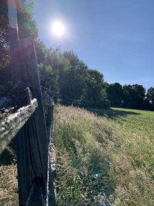E57745C5-935B-4F97-B8D0-7F8DC475F4C1.jpeg