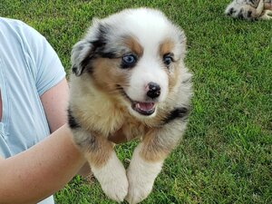20200619_183441.jpg