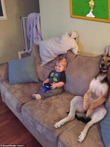 29443784-8406183-An_US_based_man_shared_this_funny_picture_of_a_dog_imitating_a_t-a-1_15926454...jpg
