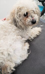 Molly4.jpg Molly4.jpg