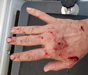 Hands.jpg Hands.jpg