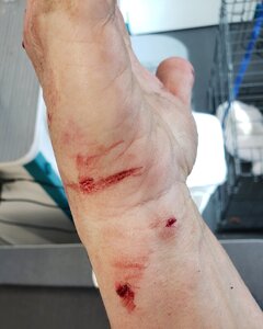 Hands1.jpg Hands1.jpg