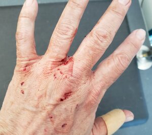Hands2.jpg Hands2.jpg