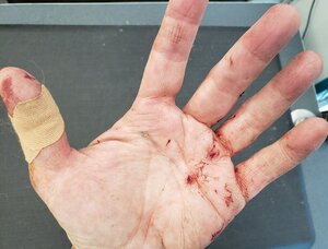 Hands3.jpg Hands3.jpg