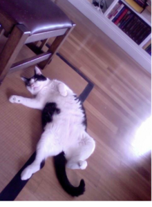 fredhangingoutinlibraryrelaxing.jpg.png