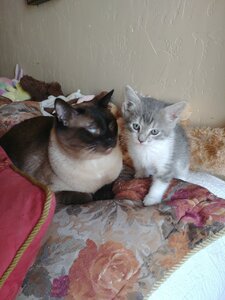 IMG_20200623_172753.jpg