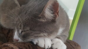 20190217_183940.jpg