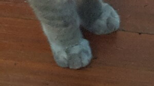 20181117_190146.jpg