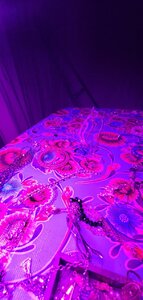 20200702_212728.jpg