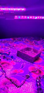 20200702_212606.jpg
