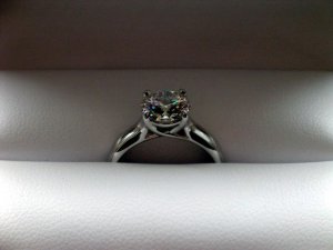 IMGP1279web.jpg