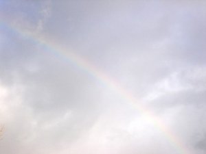 20060131090912.jpg
