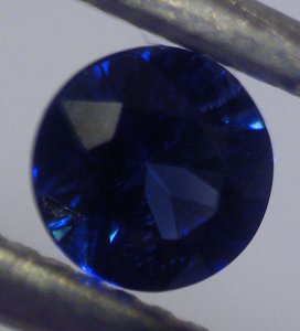 IMG_7478.jpg