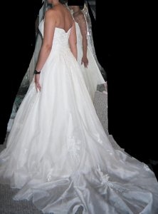 MaggieSotteroDressBackView.jpg