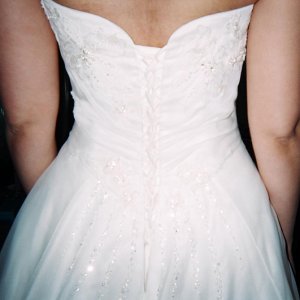 MaggieSotteroDressBackDetail.jpg