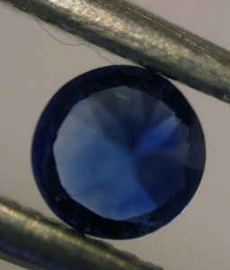 IMG_7477.jpg