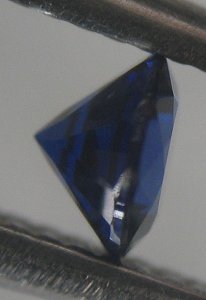 IMG_7638.jpg