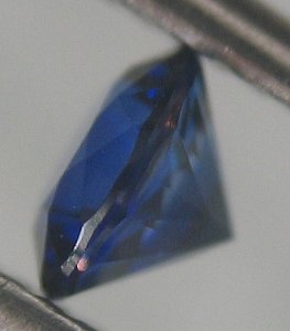 IMG_7590.jpg