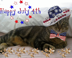 4th of july cat 5.gif