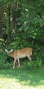 20200704_123911.jpg