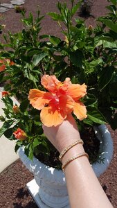 20200704_132609.jpg