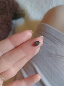 IMG_20200704_114630.jpg