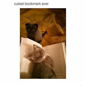 bookmark.jpg