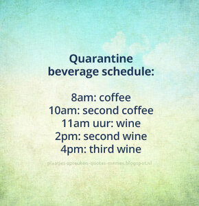 quarantinebeverageschedule.jpg