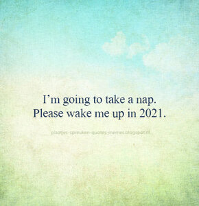 wakemenextyear.jpg