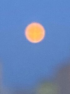 7F66C0A7-279C-4526-8065-3260794DF7D1.jpeg