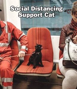 social-distancing-done-properly.jpeg.jpg