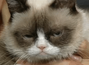 414795C6-640D-44FC-842B-814DBCEDEA44.gif