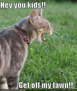 C91D0585-8EF2-450B-9504-CBEAB92830F3.jpeg