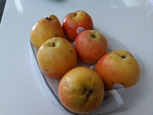 IMG_20200713_141828.jpg