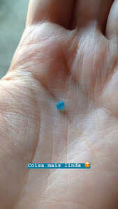 IMG_5EB5F0A72D51-1.jpeg