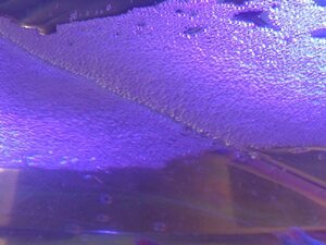 IMG_20200714_001458218.jpg