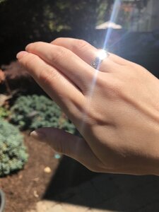 IMG_6630.jpeg