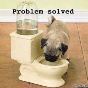 problemsolved.jpg