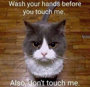 washyourhands.jpg