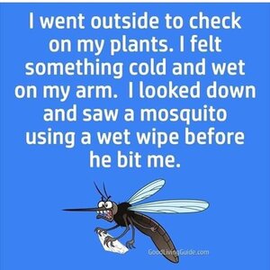mosquitoeswanttobesafetoo.jpg