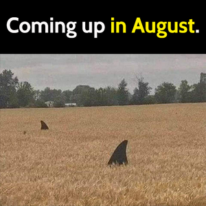 augustisnext.png