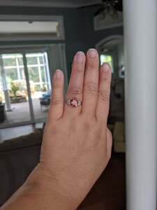 IMG_20200629_164226.jpg