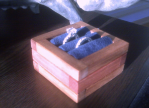 1DD8729D-D003-40B1-893F-4216861F7353.png