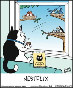 catflix.jpg