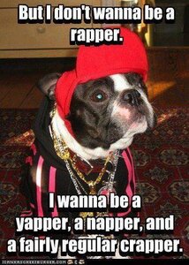 rappernot.jpg