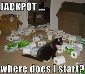 wheretostart.jpg