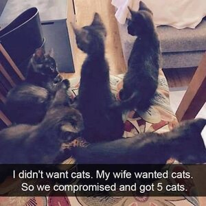 compromising.jpg