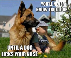 lickmynose.jpg