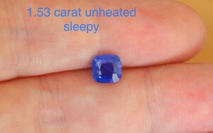 3D5DA899-0C1E-4FAB-811B-25EDA14916BC.jpeg