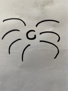 A516472E-1A11-493D-A753-BD3B9E808FC3.jpeg A516472E-1A11-493D-A753-BD3B9E808FC3.jpeg